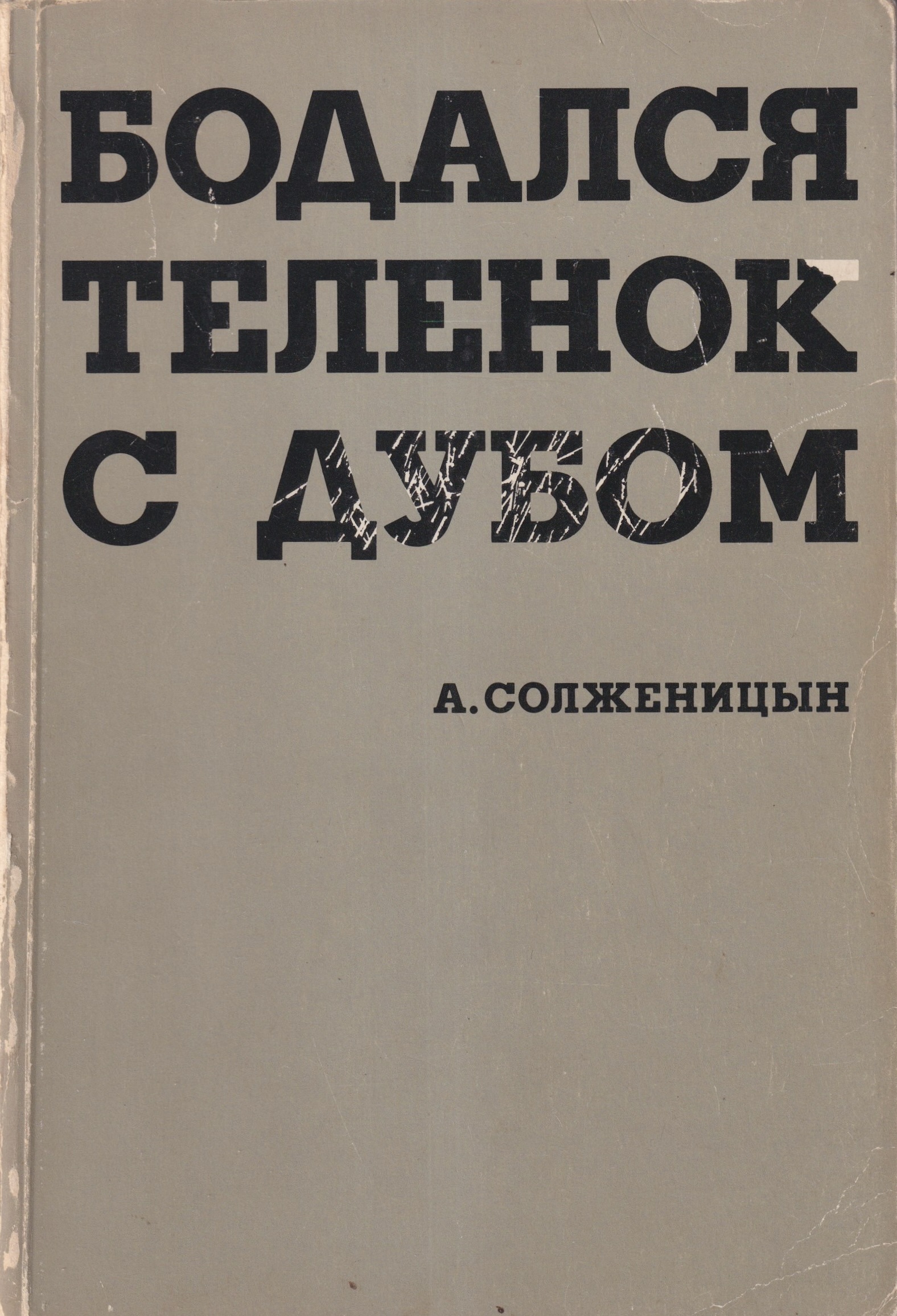 Bodalsia telenok s dubom Бодался теленок с дубом
