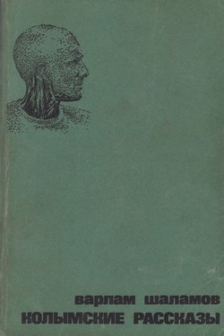 Andrei Sinyavsky. Crosssection of the Material