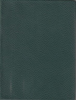 Novyi Zavet gospoda nashego Iisusa Khrista