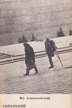 Sinen'ikii skromnyi platochek. Skorbnaia povest'